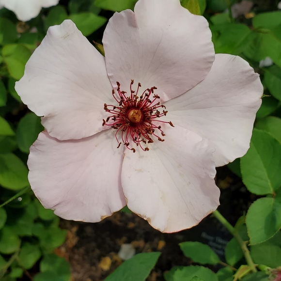 Welcome To My Closet - Picture 9 of 16